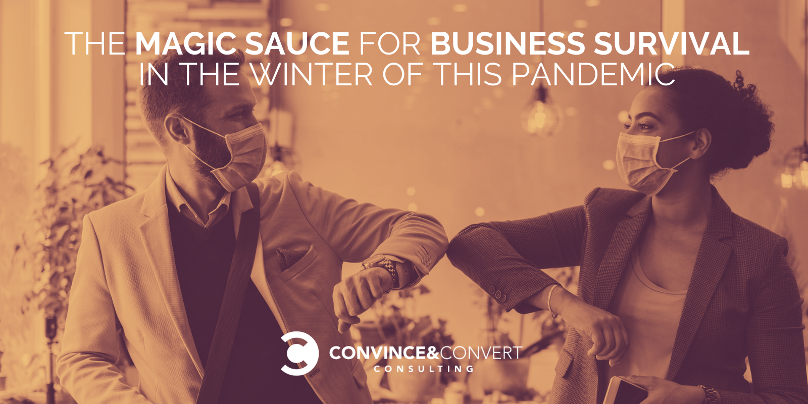 You are currently viewing The Magic Sauce for Business Survival in the Winter of this Pandemic