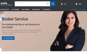 Read more about the article How to Buy a Domain Name