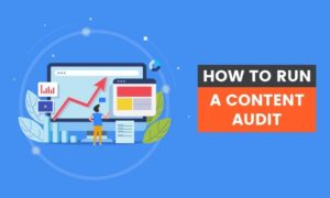 Read more about the article How to Run a Content Audit