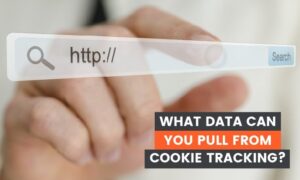 Read more about the article What Data Can You Pull From Cookie Tracking?