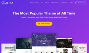 Read more about the article Best Ecommerce WordPress Themes