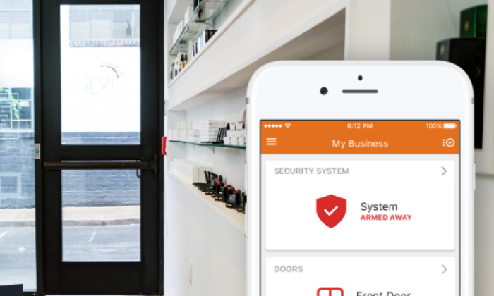 You are currently viewing Best Business Security Systems