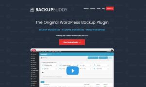 Read more about the article Best WordPress Backup Plugins
