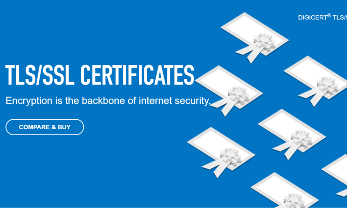 Best SSL Certificate Provider