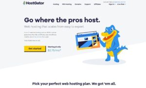 Read more about the article HostGator Cloud Review