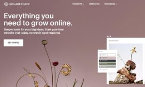 Read more about the article Squarespace Review
