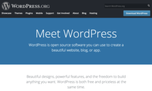 Read more about the article How To Build a WordPress Website