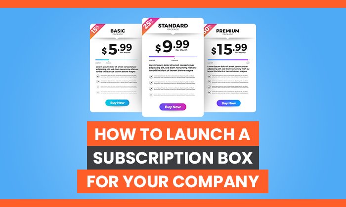 You are currently viewing How to Launch a Subscription Box For Your Company