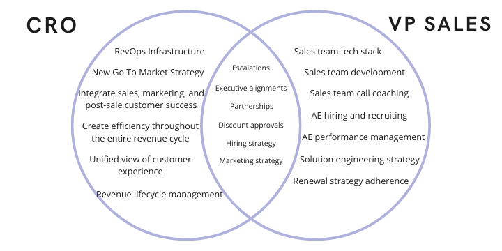The Difference Between a VP of Sales and a CRO