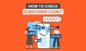Read more about the article How to Check Subscriber Count on YouTube, Instagram, Twitter, & More