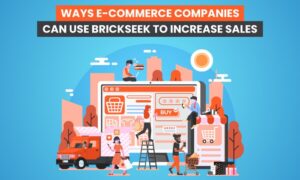 Read more about the article 5 Ways E-Commerce Companies Can Use BrickSeek to Increase Sales