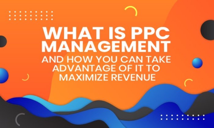 Read more about the article What is PPC Management and How You Can Take Advantage Of It To Maximize Revenue