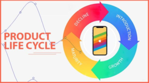 Read more about the article Product Life Cycle: What It Is, the 5 Stages, & Examples