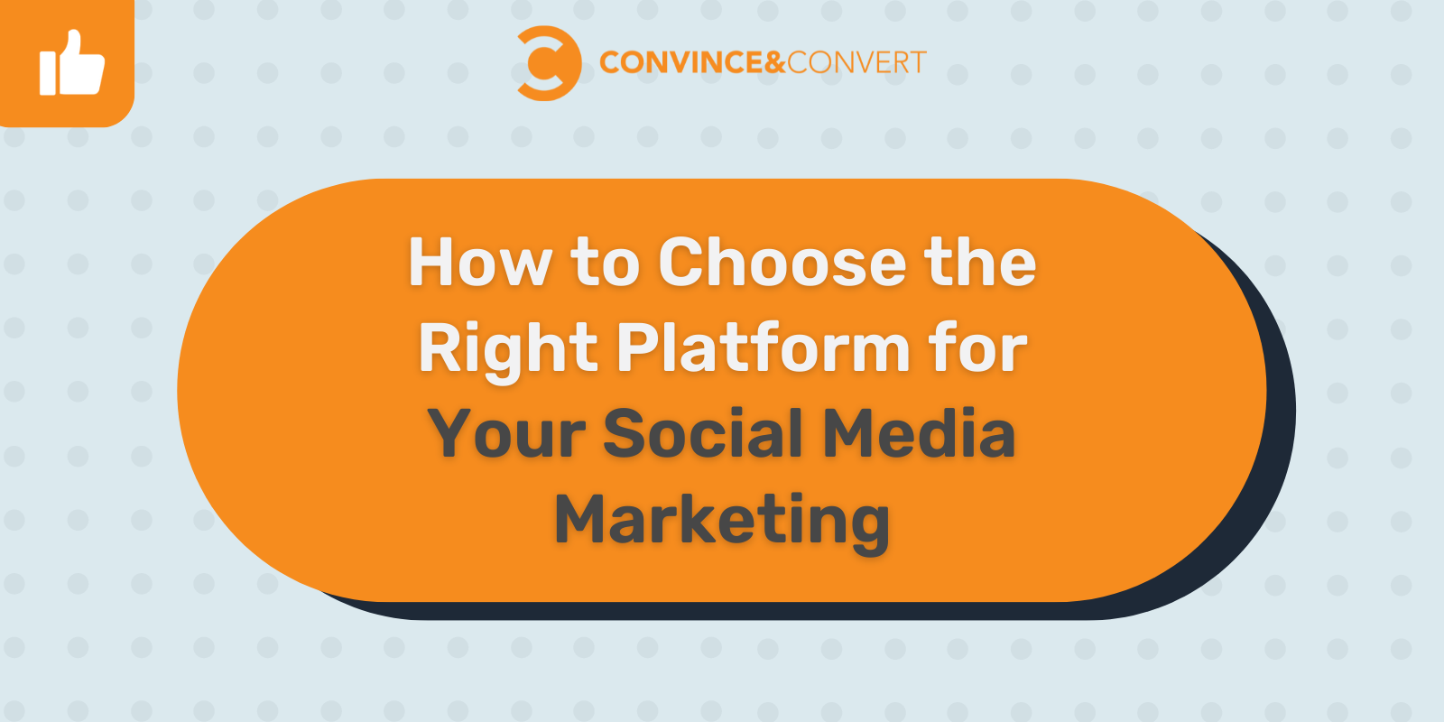 Read more about the article How to Choose the Right Platform for Your Social Media Marketing