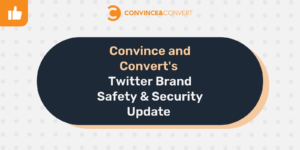 Read more about the article Convince and Convert’s Twitter Brand Safety & Security Update