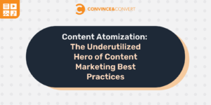 Read more about the article Content Atomization: The Underutilized Hero of Content Marketing Best Practices