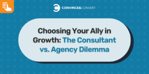 Read more about the article Choosing Your Ally in Growth: The Consultant vs. Agency Dilemma
